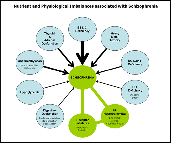 SCHIZO Summary Diagram